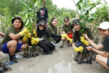 Peringati Hari Mangrove Sedunia