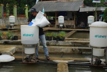 CFO eFishery Lengser dari Jabatannya