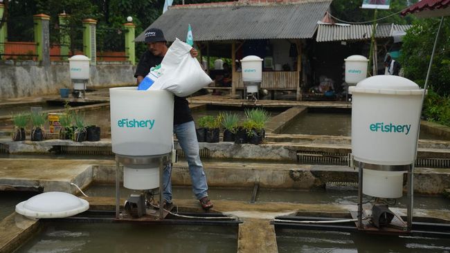 CFO eFishery Lengser dari Jabatannya