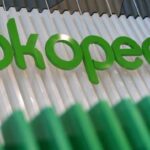 Tren Belanja Masyarakat di Tokopedia Sepanjang 2022